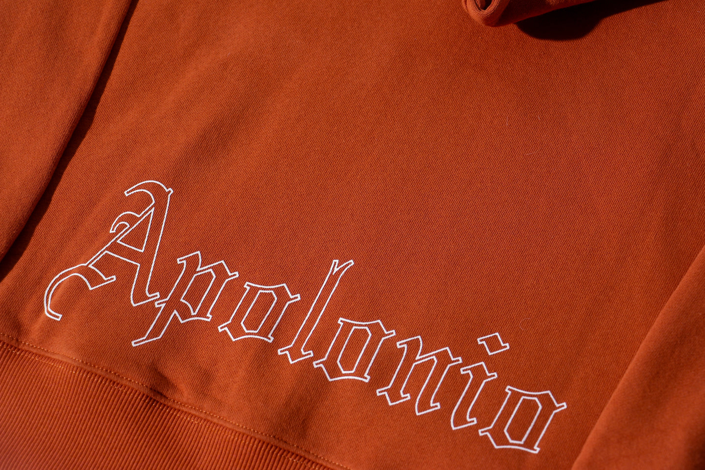 Apolonio Pullover Hoodie