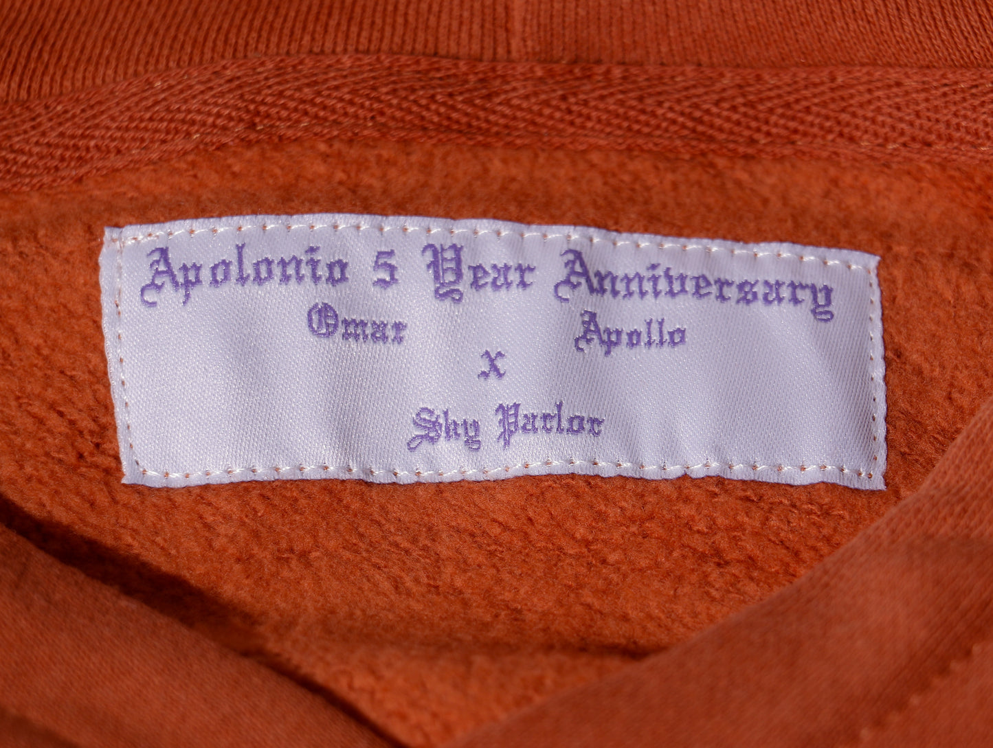 Apolonio Pullover Hoodie